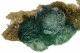 Stepped Green Fluorite Crystals on Smoky Quartz - China #163170-1